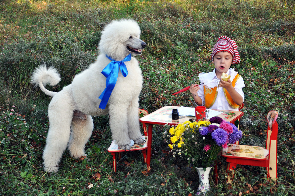 Праздник с пуделем. Фотостудия Портрет Свадебный и семейный фотограф в Рязани