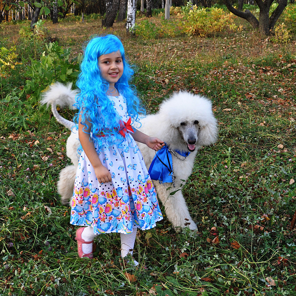 Праздник с пуделем. Фотостудия Портрет Свадебный и семейный фотограф в Рязани