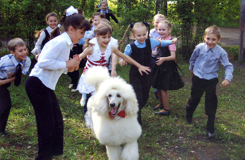 Праздник с пуделем. Фотостудия Портрет Свадебный и семейный фотограф в Рязани