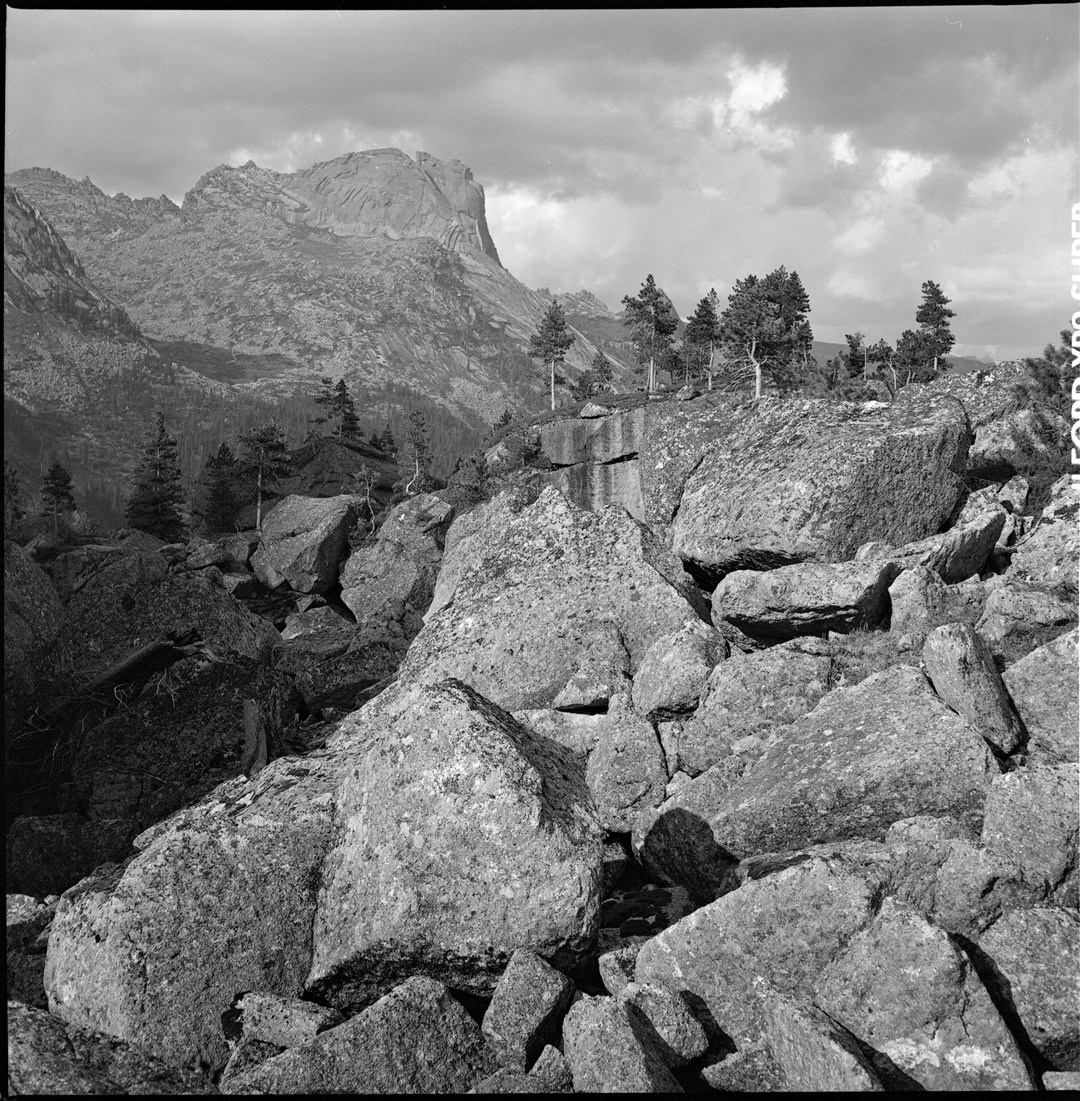 Nature. Интерьерный фотограф в Красноярске Владимир Барабаш