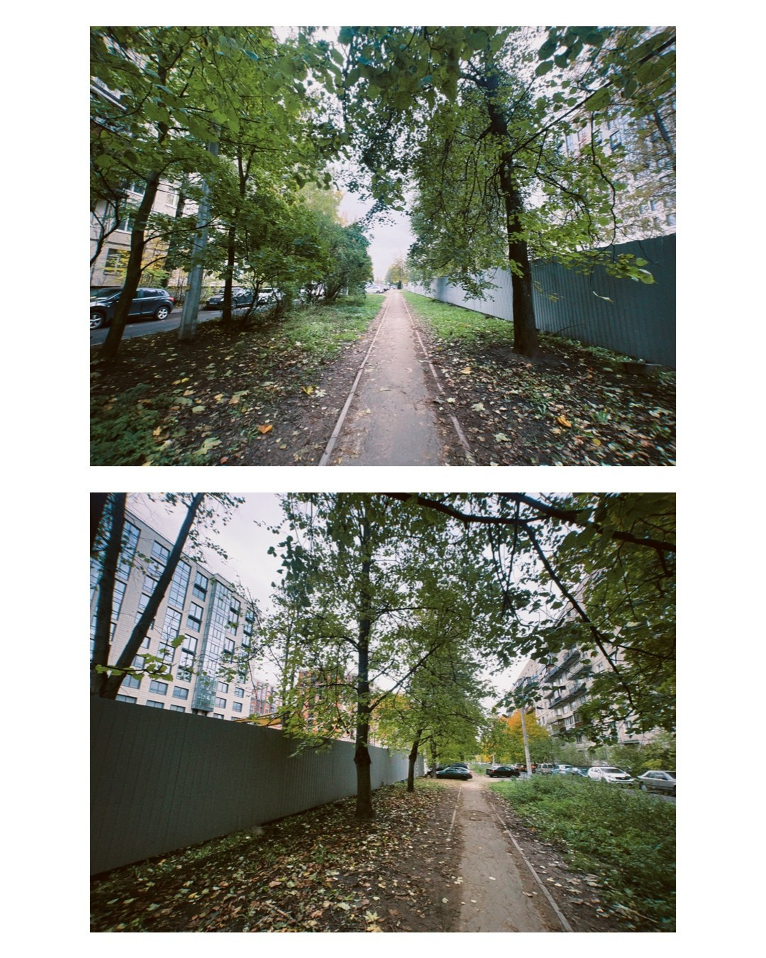 Saint-Petersburg. Alina Panover