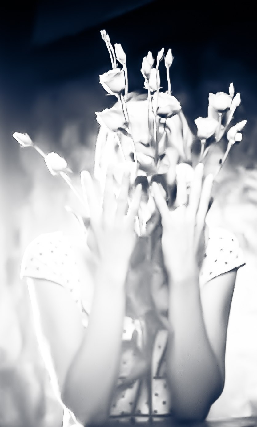 Портфолио. Главная