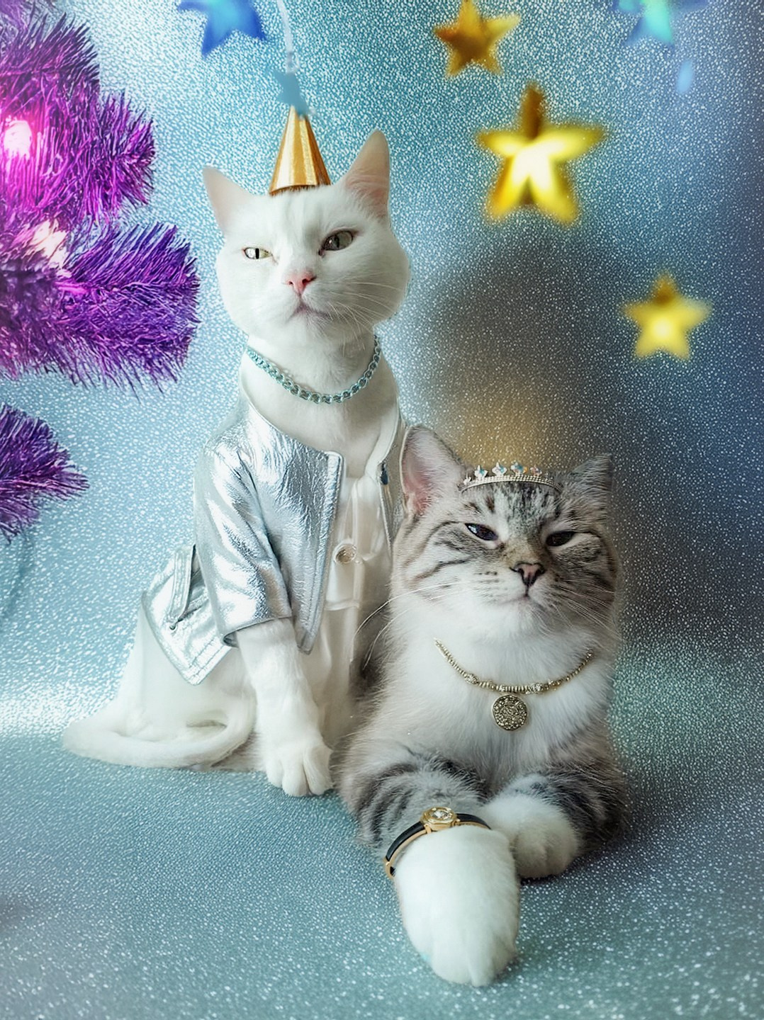 Котофантазии. Гендугова Людмила Фотограф Москва