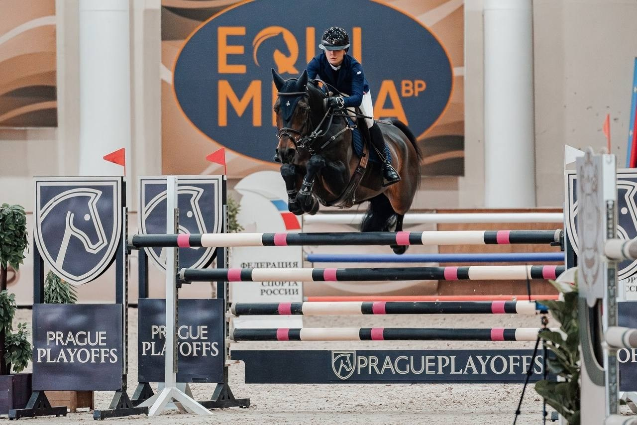 ВСЕРОССИЙСКИЕ СОР-Я ПО КОНКУРУ «КУБОК РЕГИОНОВ», «КУБОК РОССИИ». Куракина Дарья • Конный фотограф