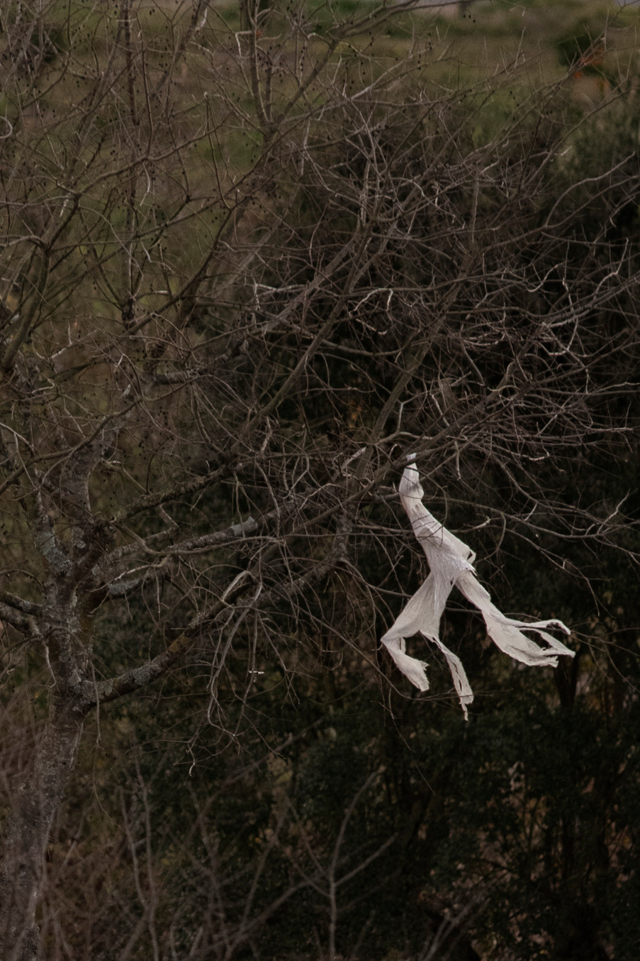 MOTHER (in progress). Anastasiia Antoniuk portrait, family and couple photographer, Portugal