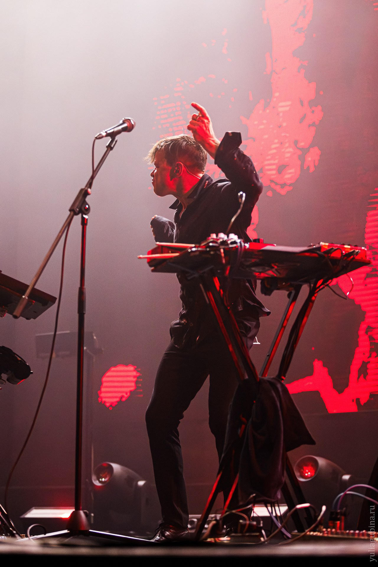 Дельфин, 07.03.2024, Atmosphere