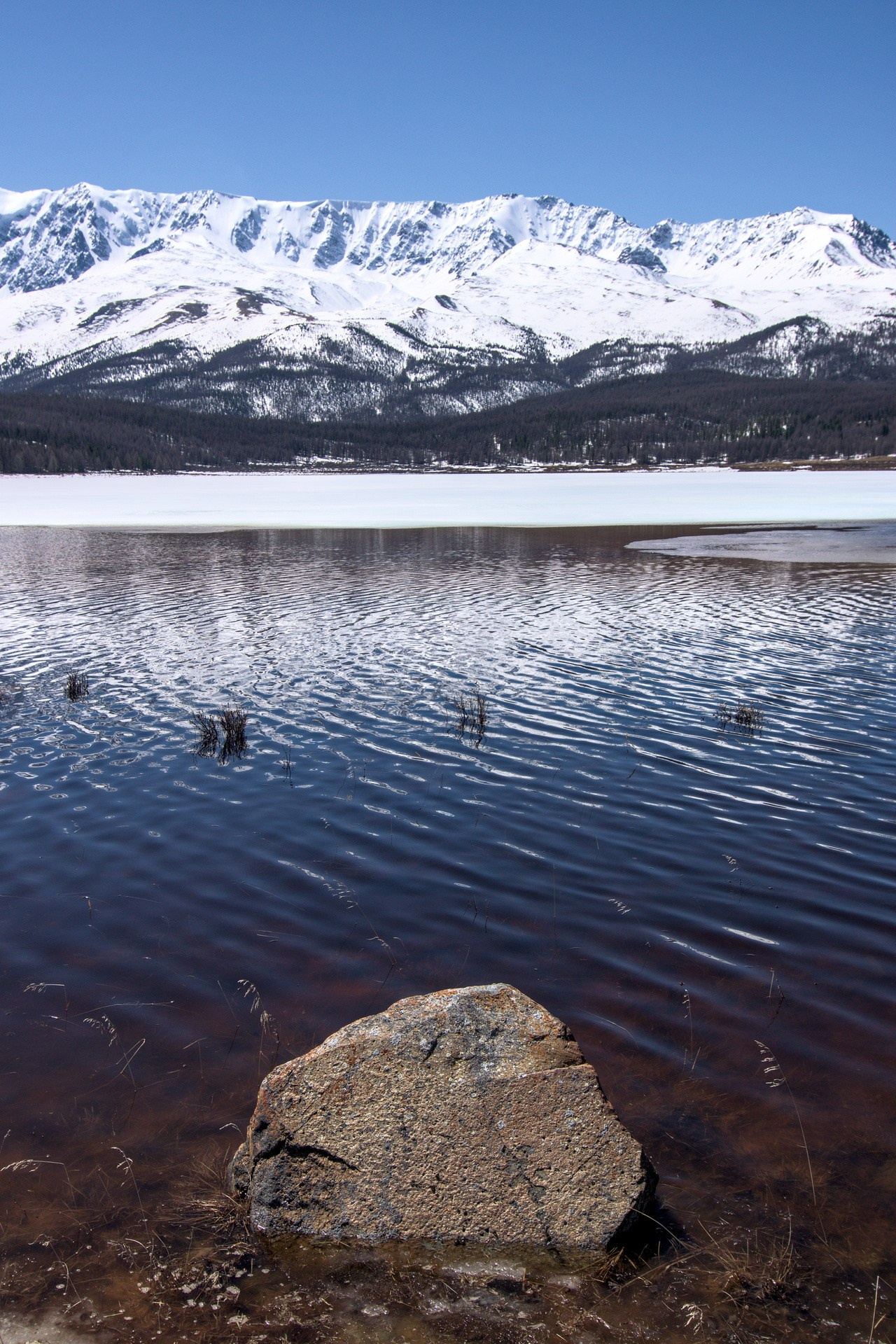 Джангысколь. Фотограф анималист, пейзажист, спортивные мероприятия. Новосибирск