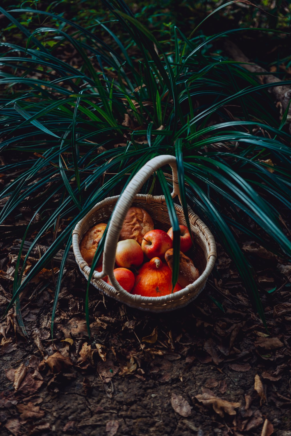 Фотосессия в горячем ключе. Свадебный фотограф в Горячем Ключе Смирнова Дина