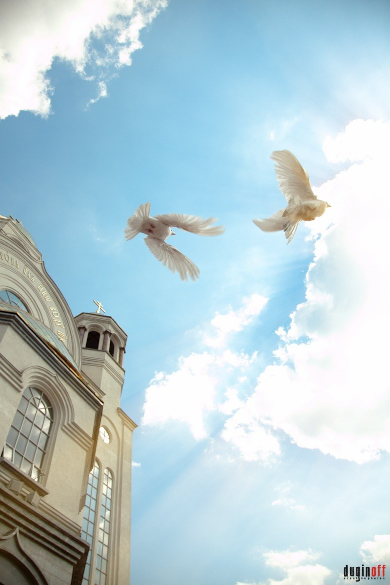 Свадебный фотограф Дугинов Николай | Екатеринбург. Профессиональный фотограф Дугинов Николай | Екатеринбург