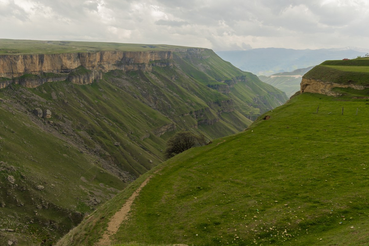 Хунзахское плато. Photomantis