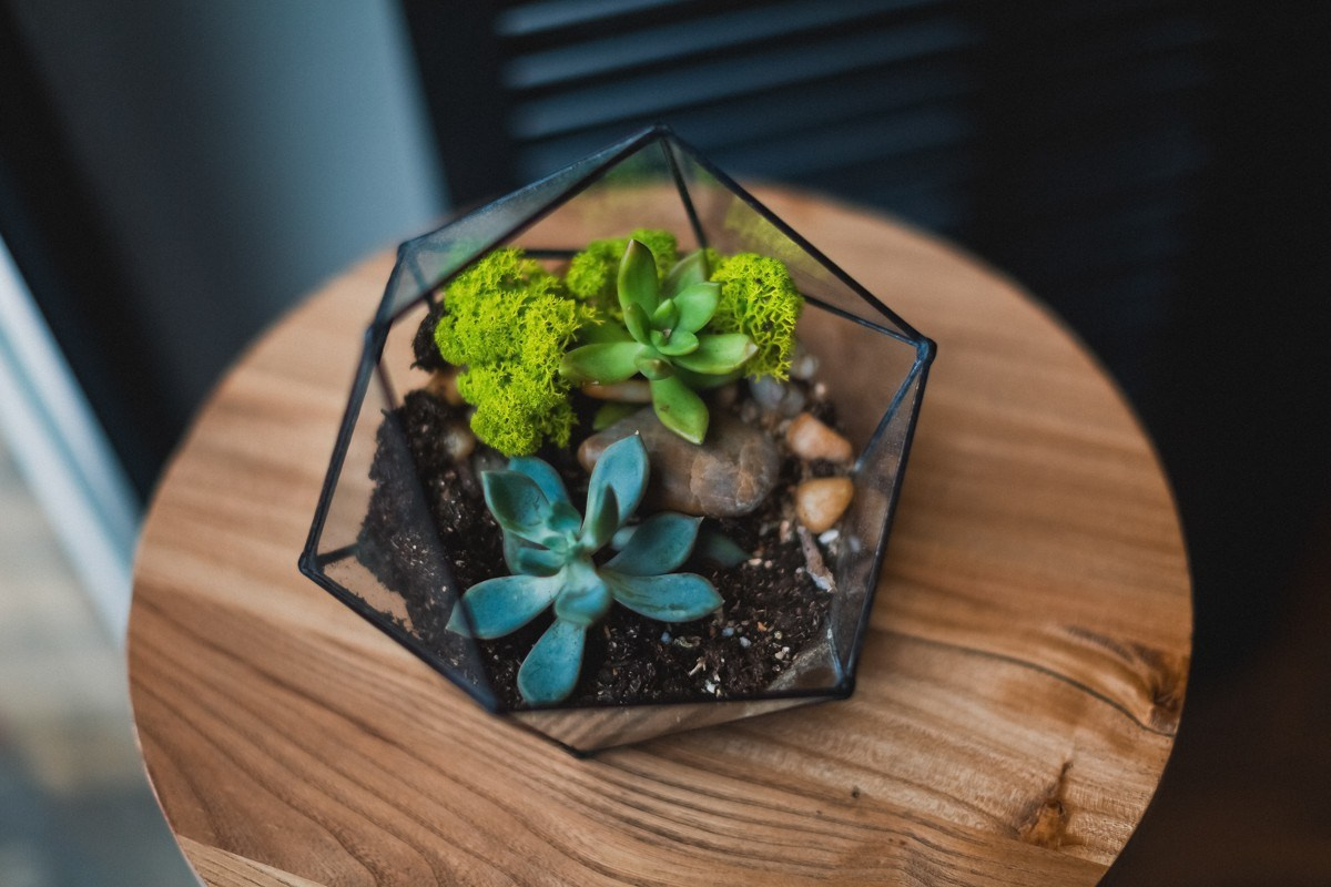  Серёжа и Настя