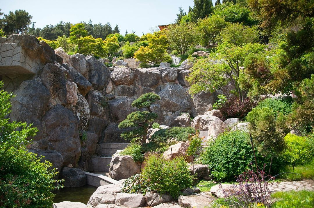 Природа. Фотограф в Санкт-Петербурге