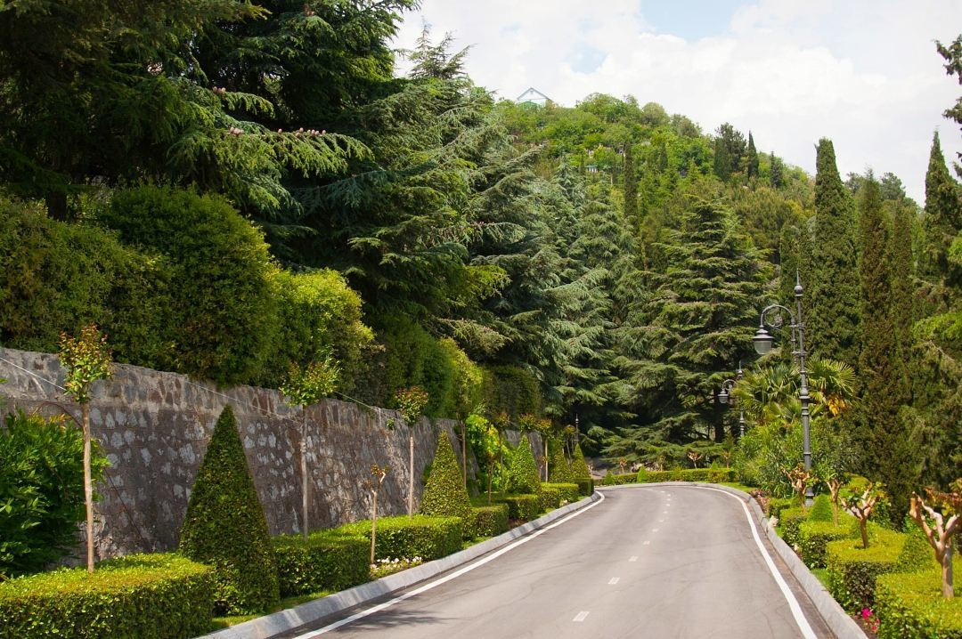 Природа. Фотограф в Санкт-Петербурге