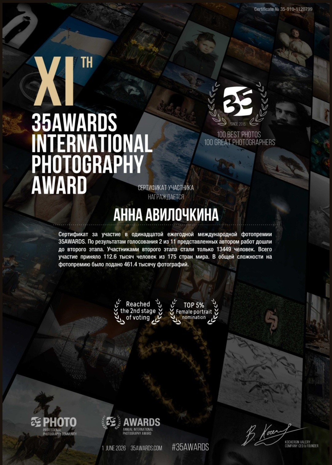 35 AWARDS. Семейный и свадебный фотограф в Москве и Домодедово Анна Авилочкина