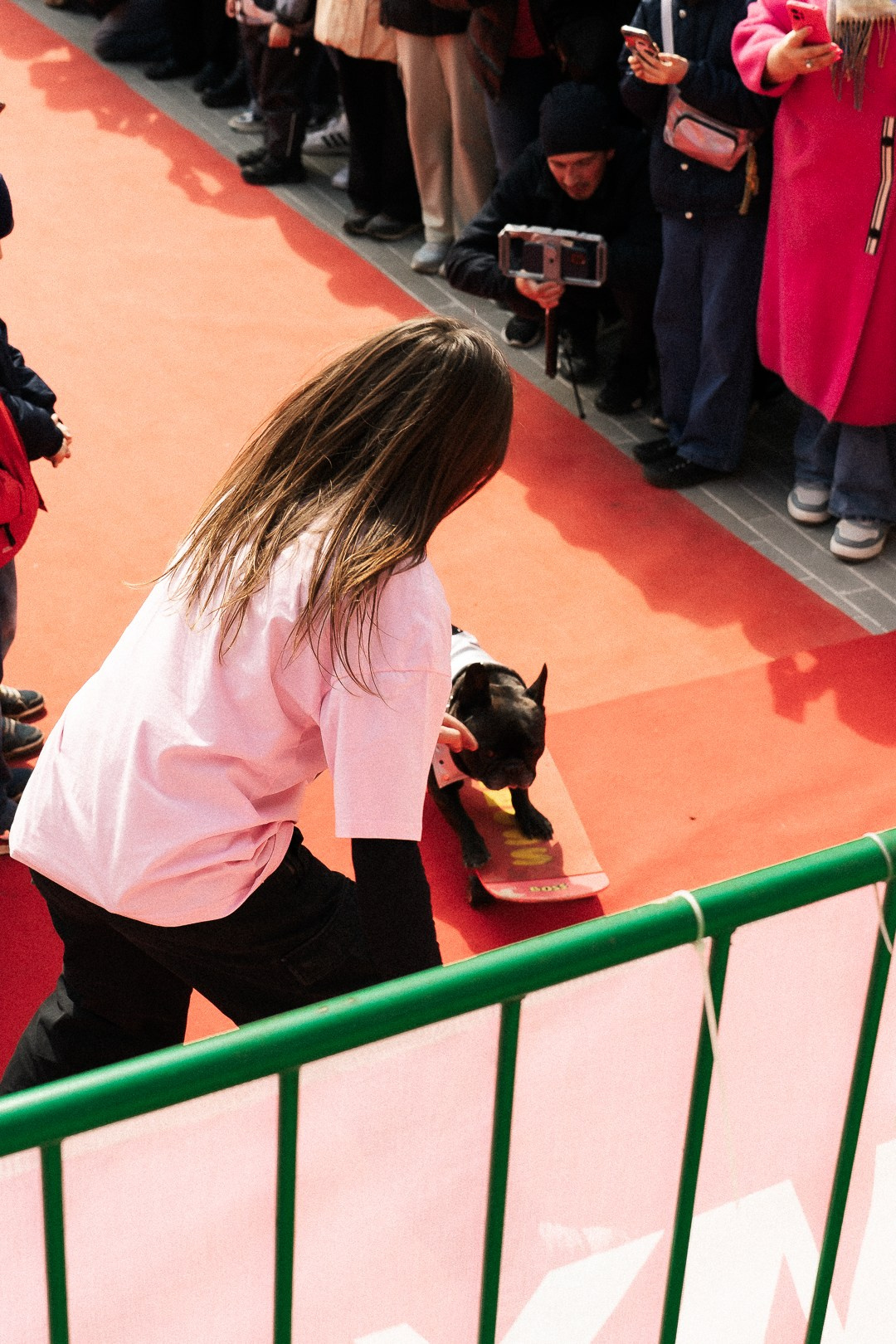 Парад Бульдогов. Axenov_eugene