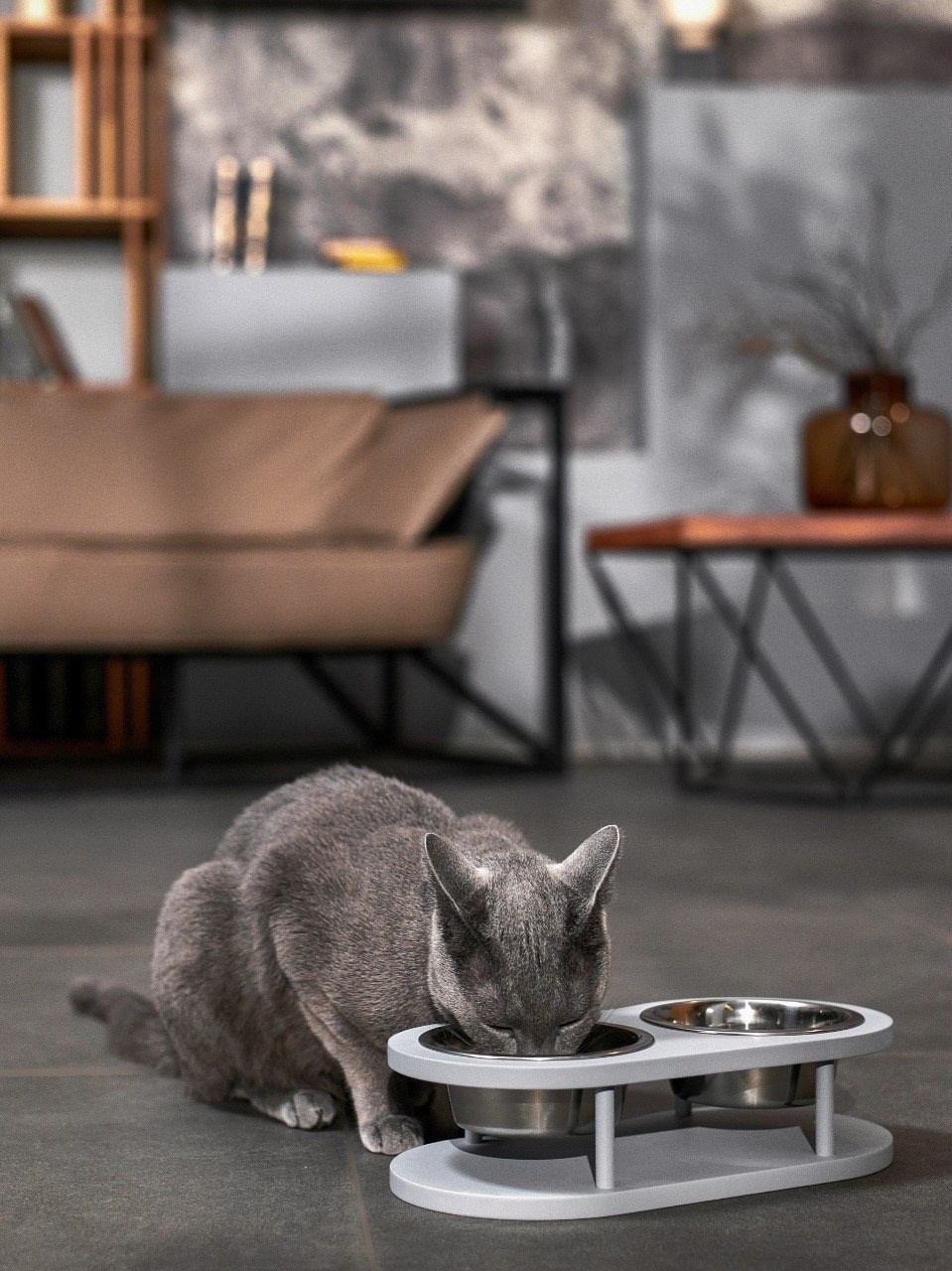 KOTOMOTO. Главная