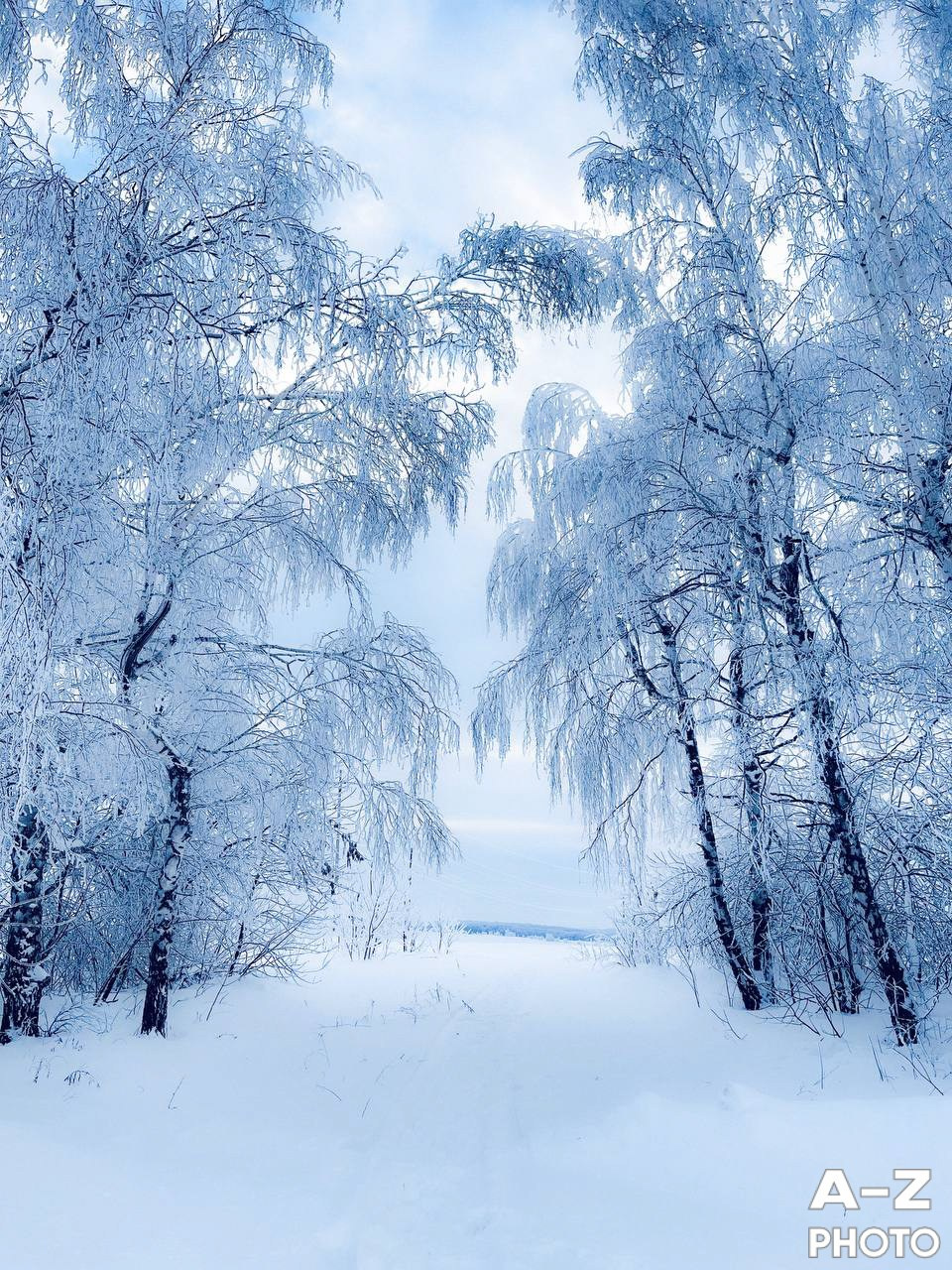 #ФОТОНЕДЕЛИ 12.01.2026. Женский семейный фотограф Тула Москва Захарова Анна