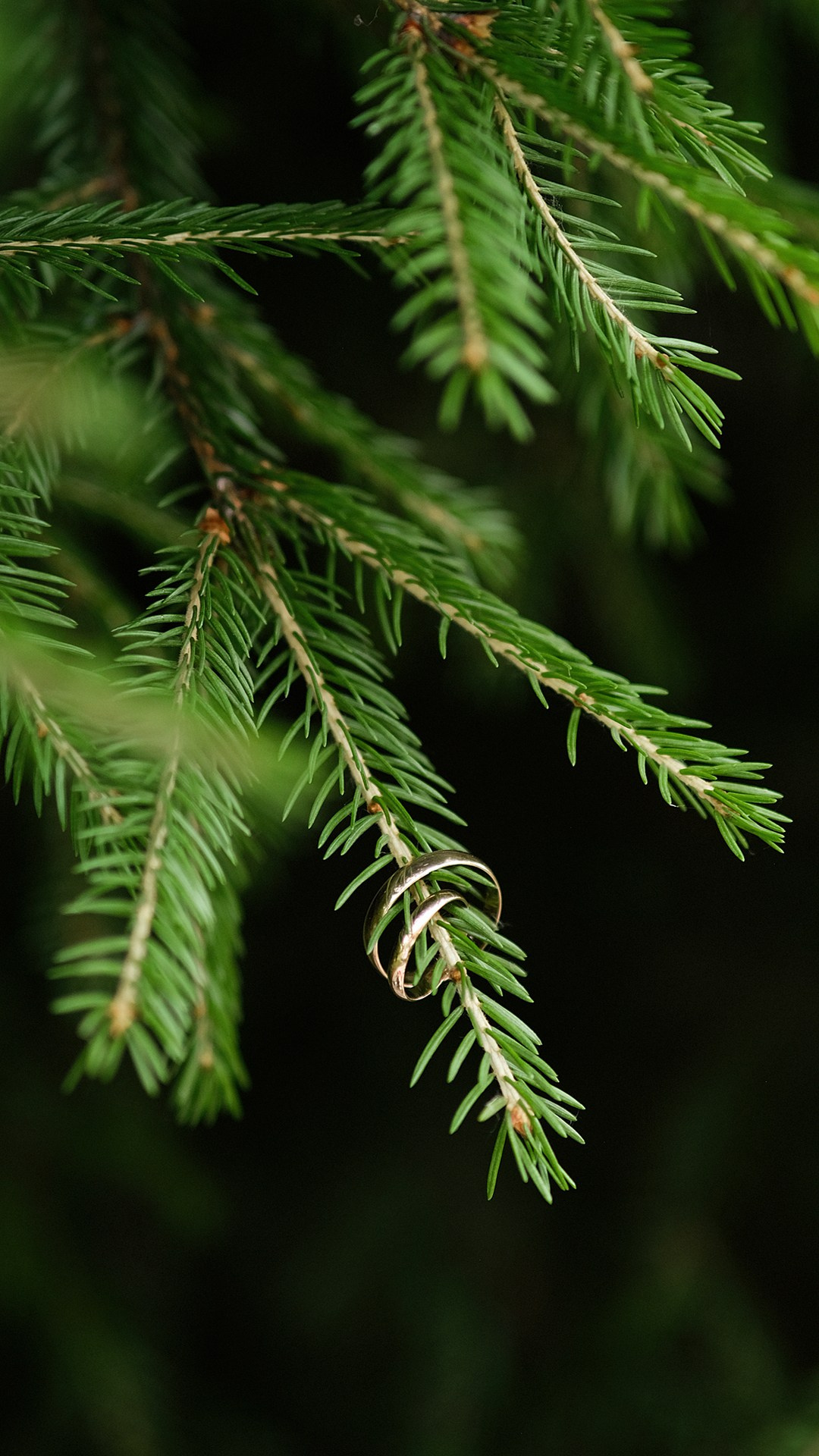Свадебный и семейный фотограф Ксения Тараканова г. Иваново