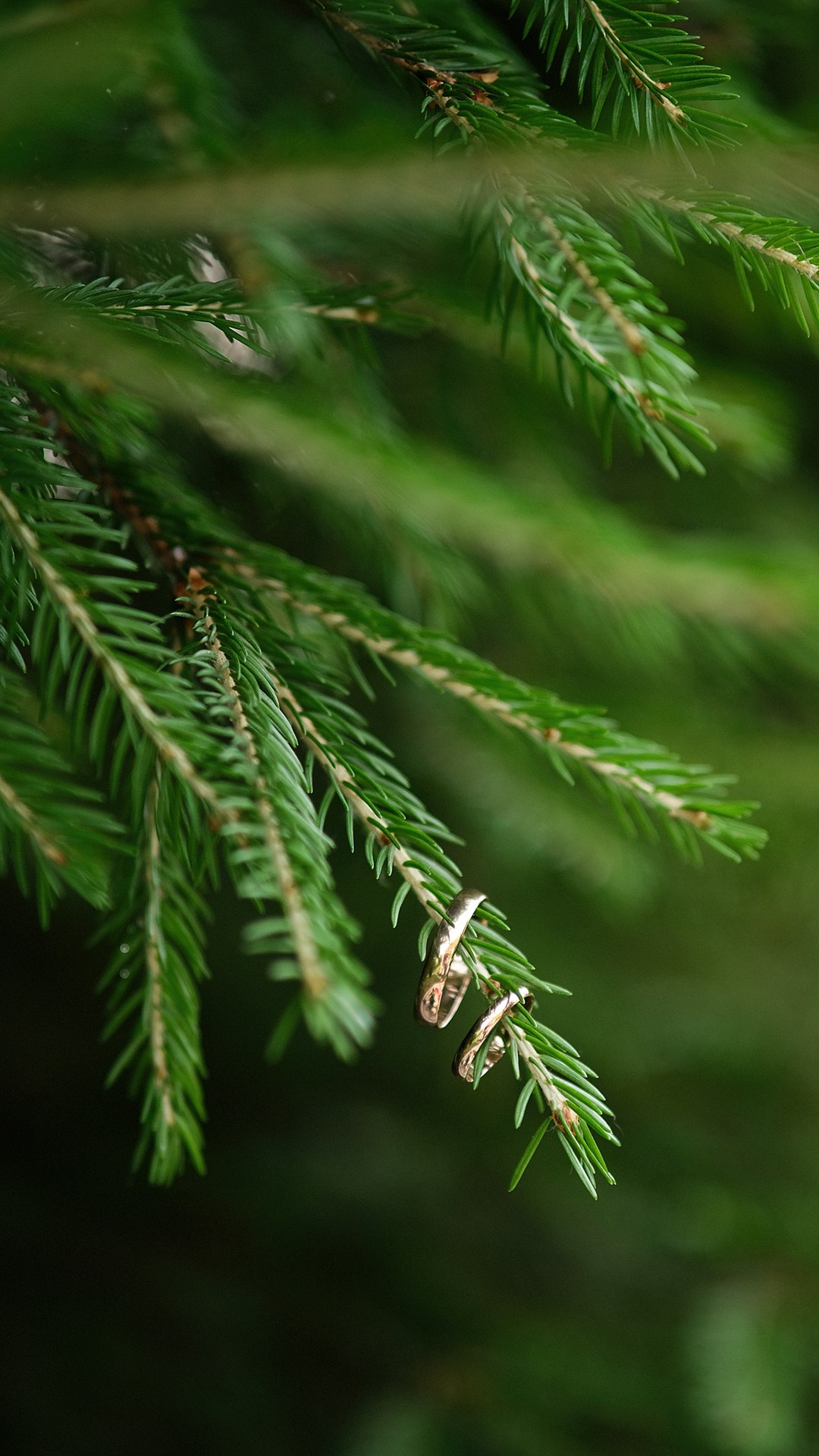 Kseniya & Dmitriy. Свадебный и семейный фотограф Ксения Тараканова г. Иваново