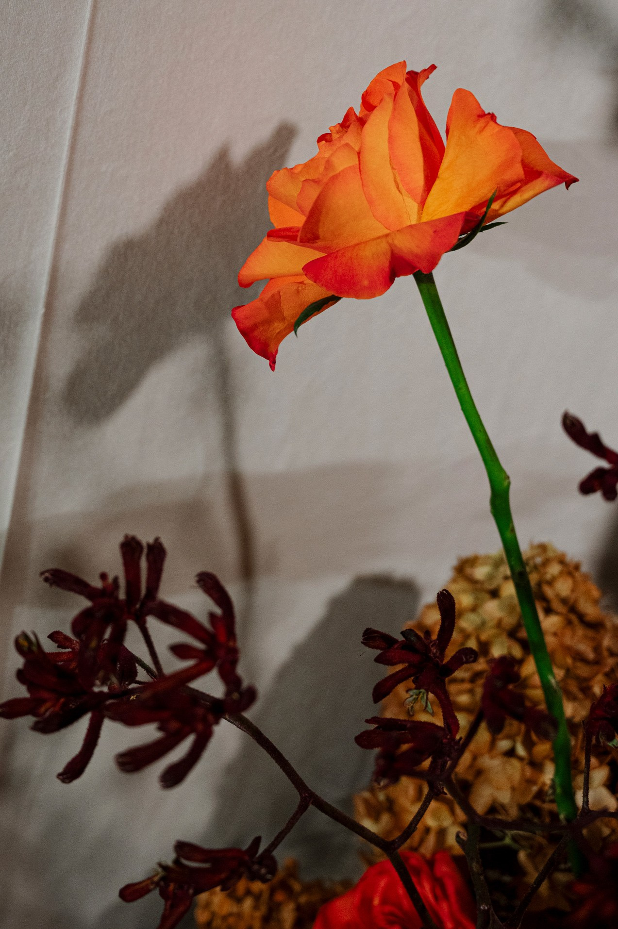 Александр и Анастасия / 29.11.25. Фотограф Антон Горин