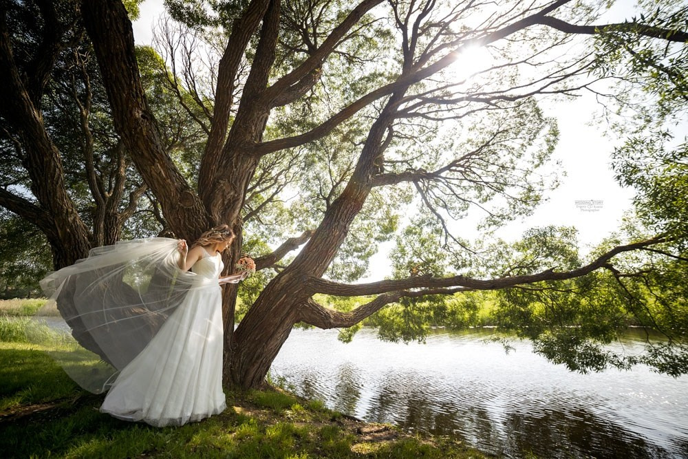 Свадебные съемки. Костин Евгений | Фотограф на свадьбы и мероприятия во Владимирской области