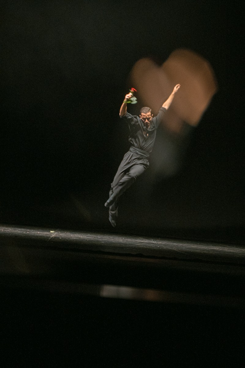 Новофест Фестиваль современного танца. Главная