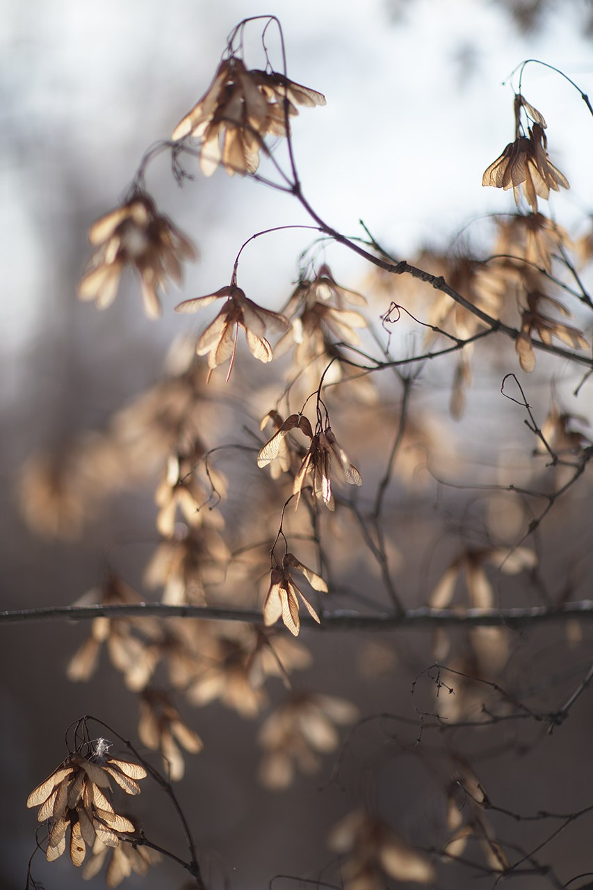 СЕМЬЯ / ДЕТИ. Детский и семейный фотограф в Тамбове Марина Смаль