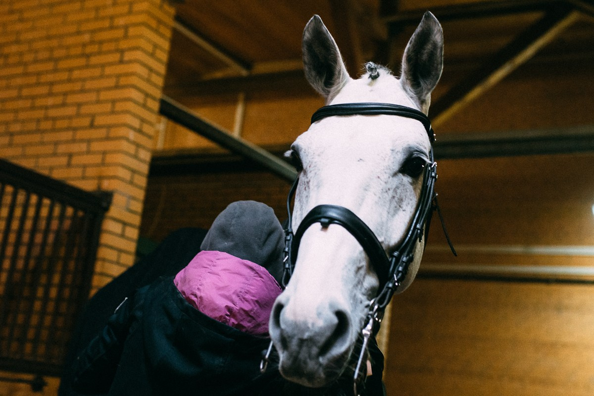 Выездка КСК «Дерби». Репортажный и семейный фотограф в Санкт-Петербурге Тарас Марченко