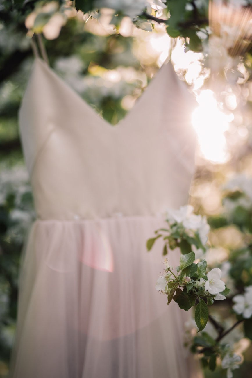 Цветущий сад