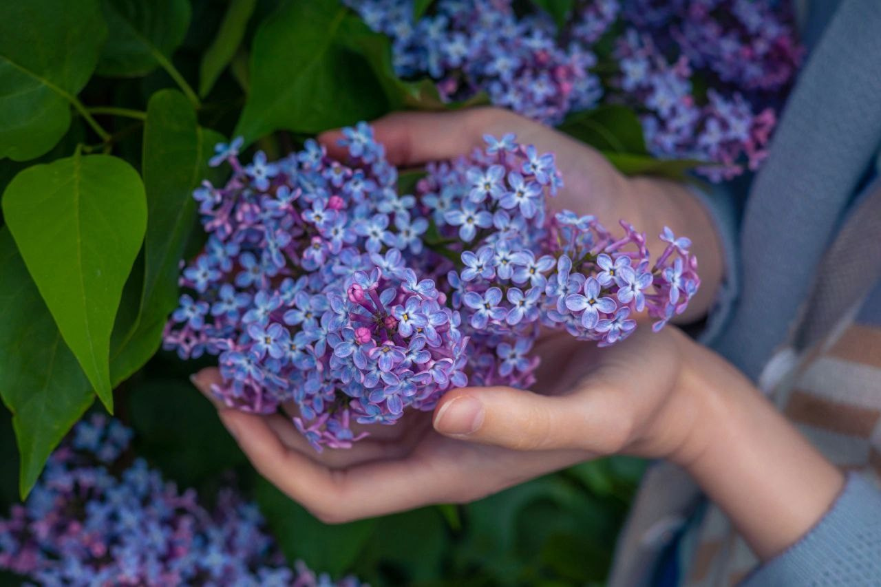 Анисина Анна, фотограф в Иваново, лучший фотограф в Иваново, семейный фотограф, индивидуальная съемка, свадебный фотограф 