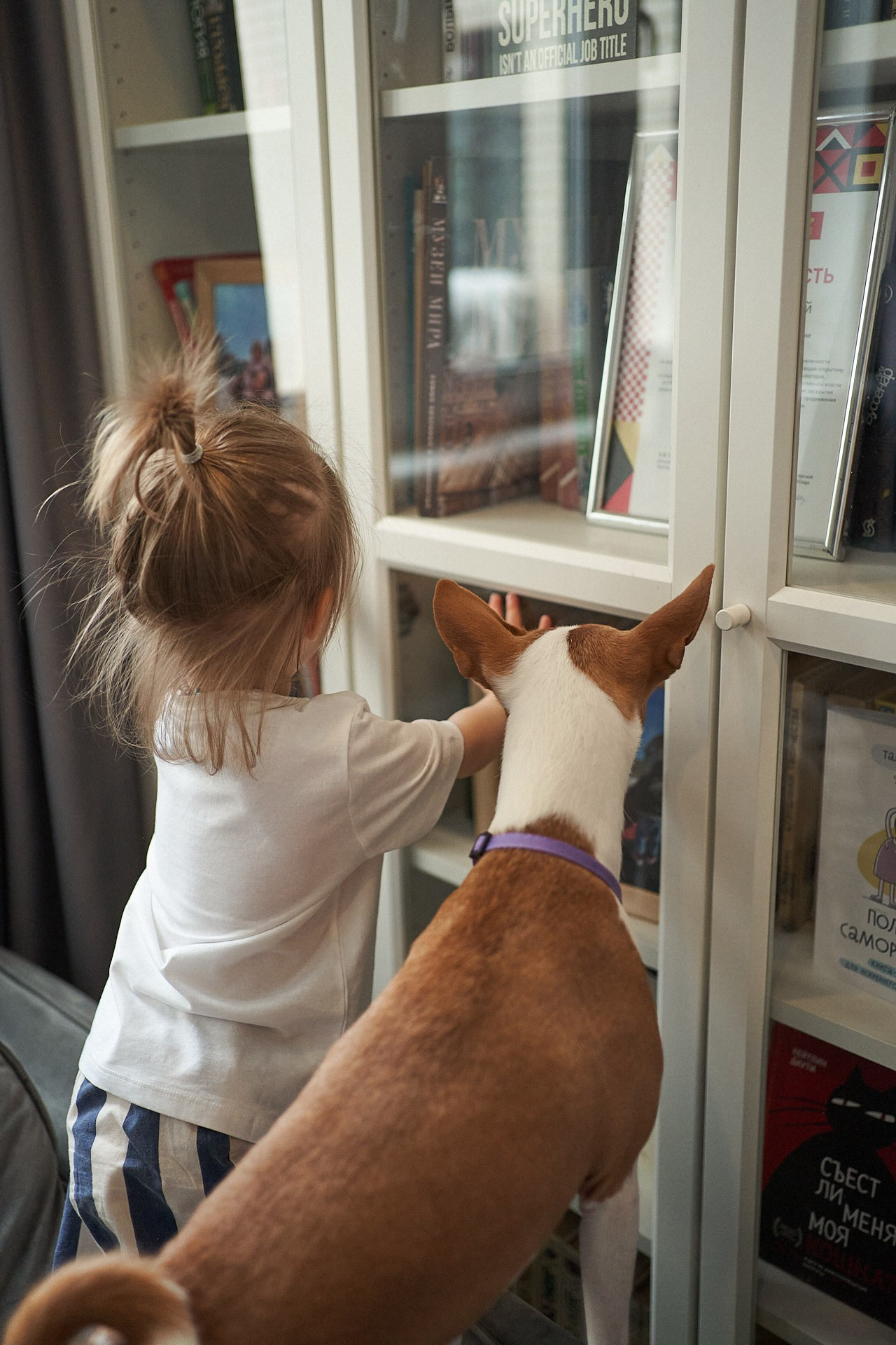 Аня, Майя и Пепси. Фотограф анималист Москва Дарья