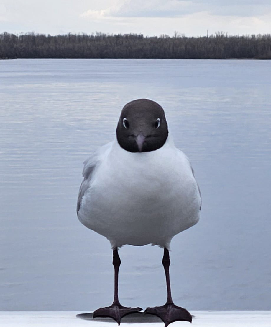Архангельск | 08.05 — 11.05.2025. Галерея Фантим