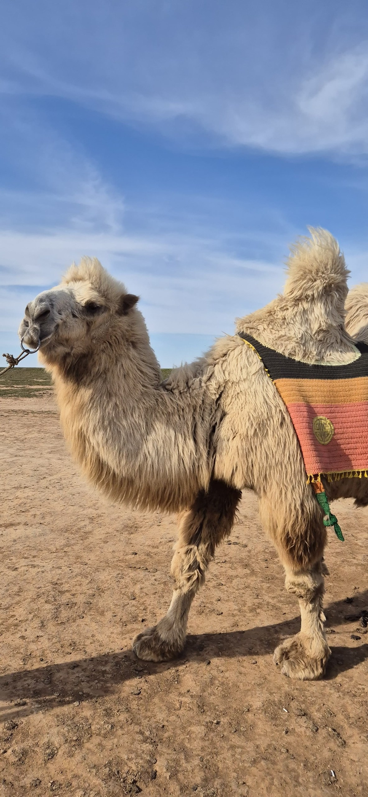 Астрахань и Элиста. Экскурсионная поездка | 30.04-04.05.2025. Галерея Фантим