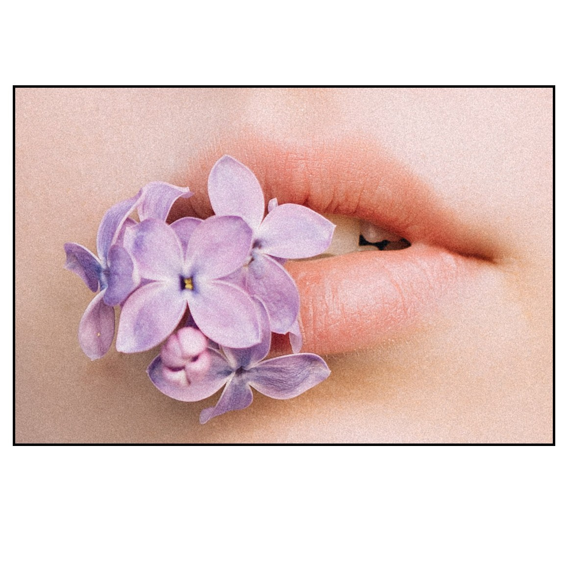 Фотосессия для пары в сиреневом саду. Фотограф Калагина Светлана