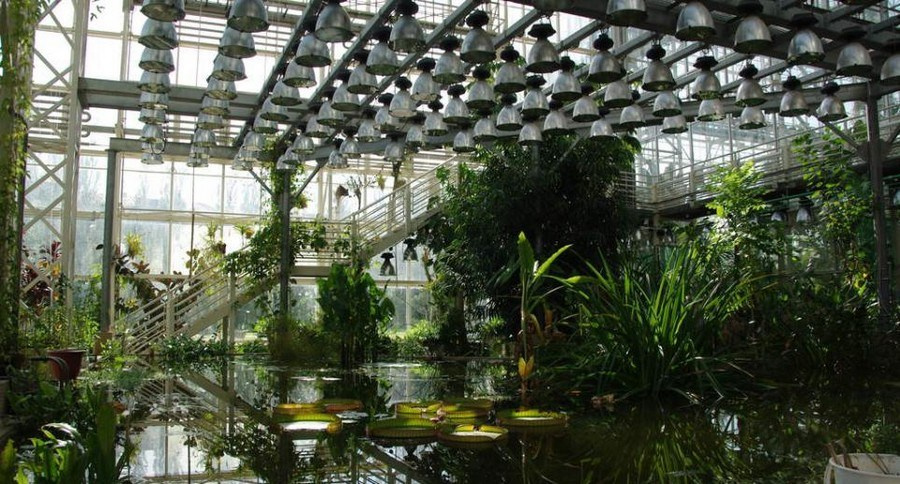 Фотосессия в парке у пруда — отражения в воде и живописные берега