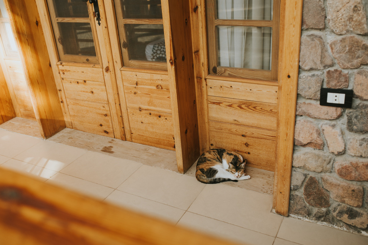 BASSEM&NADIA. Photographe de mariage et de famille à Sharm El Sheikh Natalia Matlina