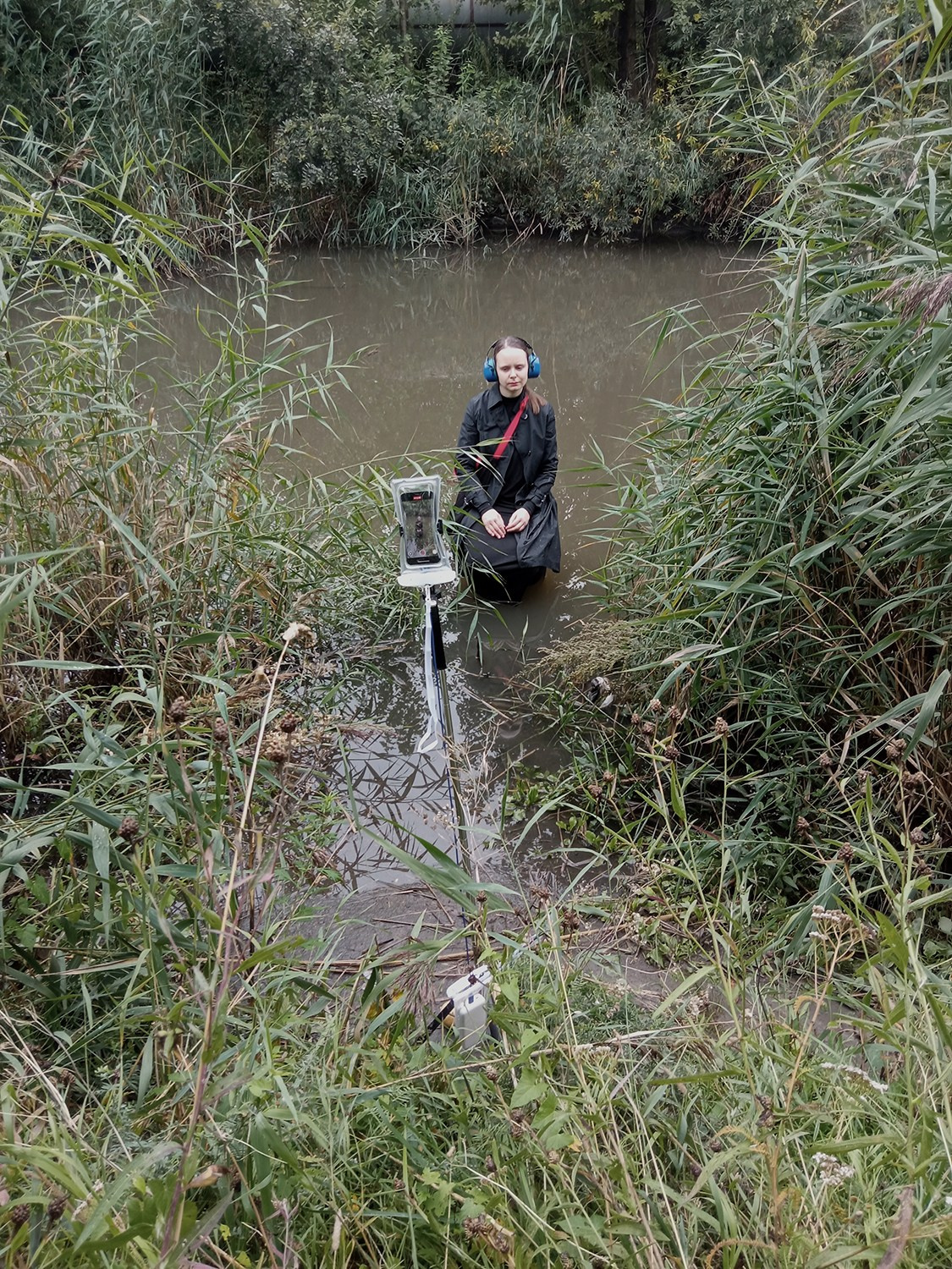 Красненькая биеннале 2025. Private image