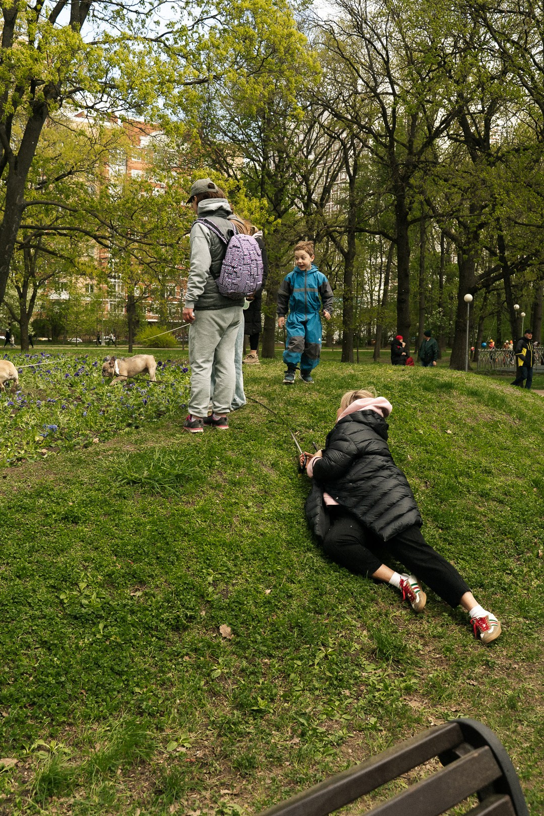 Парад Бульдогов. Axenov_eugene