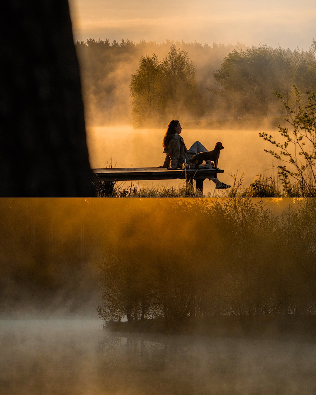 Лия и Чарли. Фотограф анималист в Москве и Санкт-Петербурге Свиридова Анна