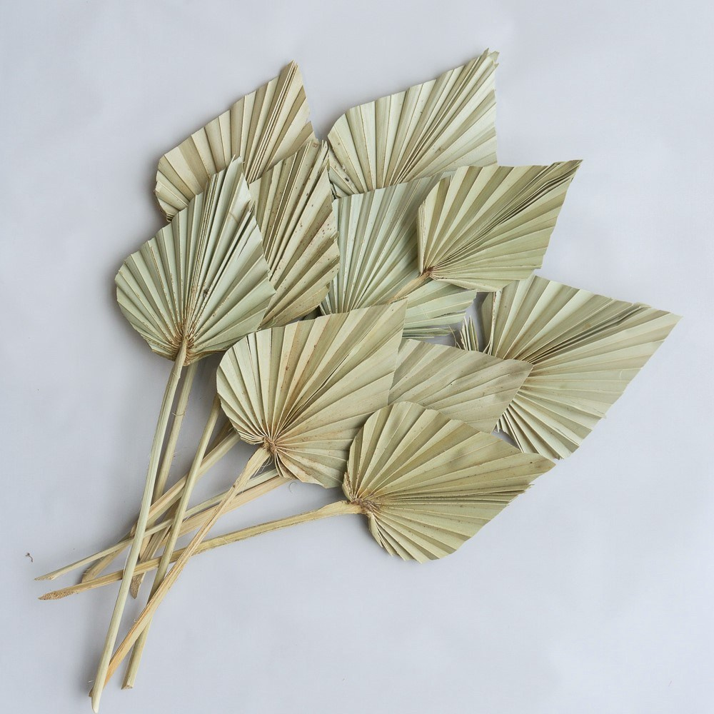 Сухоцветы. Фотограф в Екатеринбурге Яна Круташова