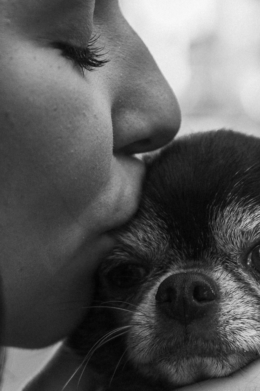 Даша и ее мальчики. Фотограф — Анималист | Санкт-Петербург