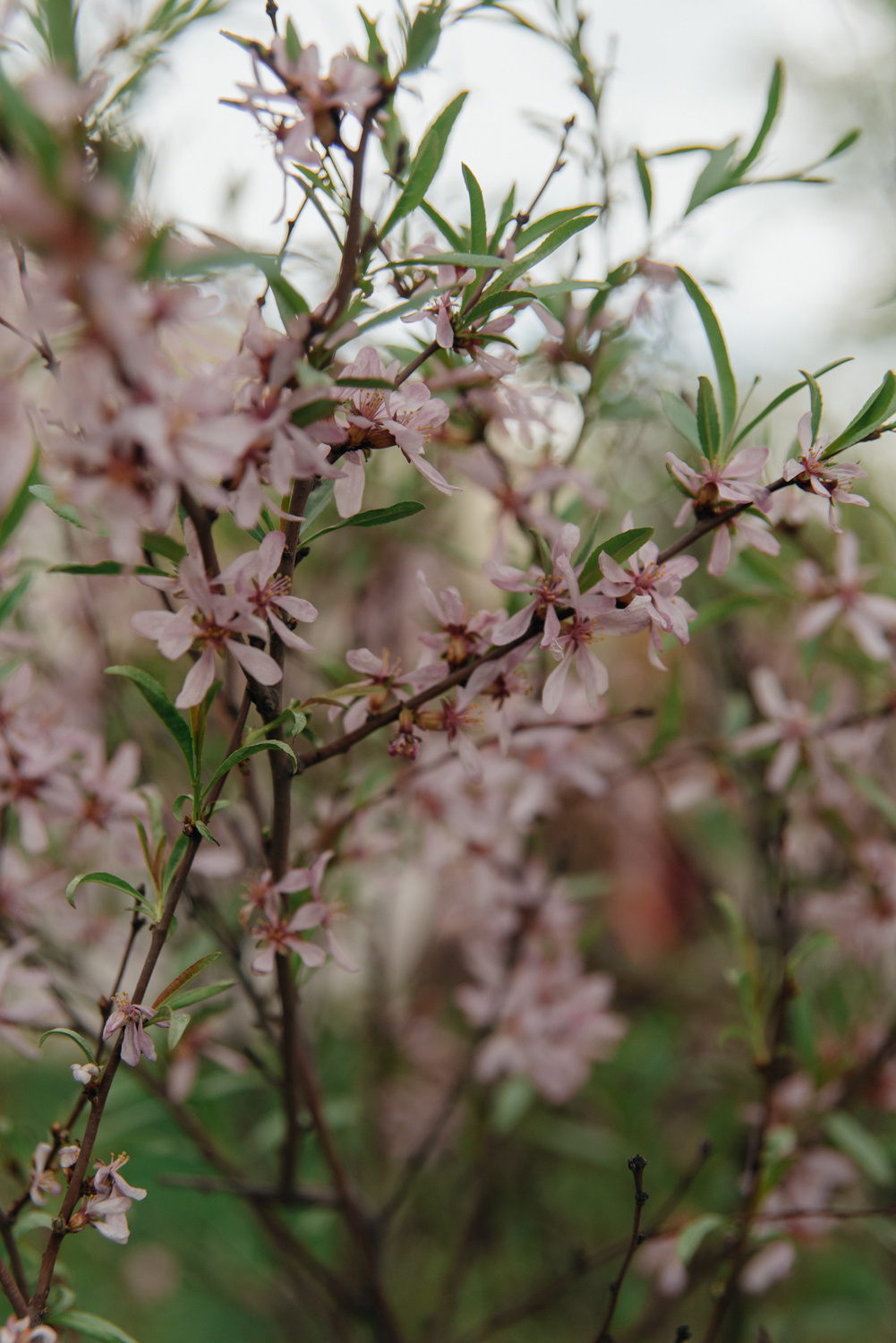 Контент — фотосессия. Фотограф Москва