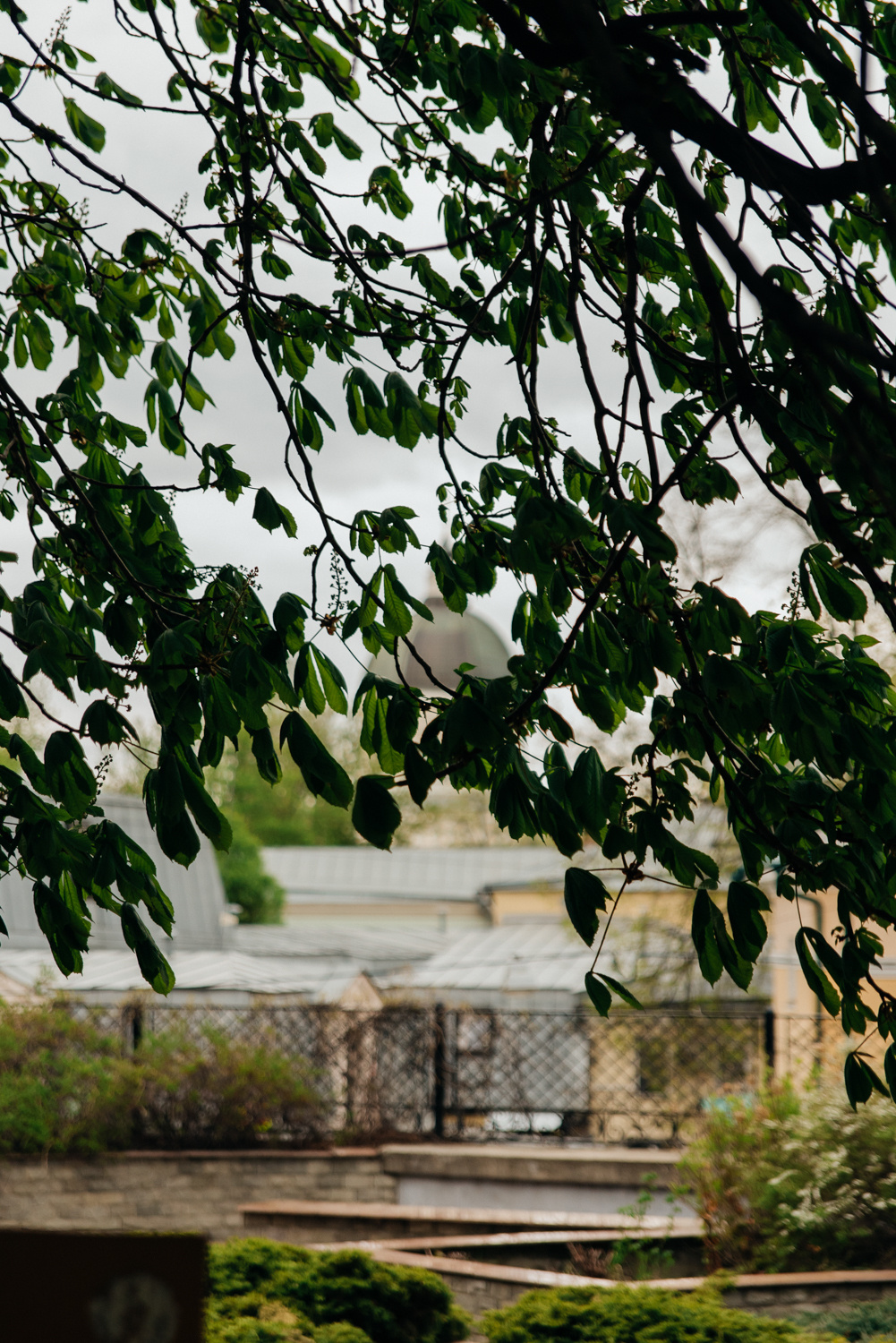 Контент — фотосессия. Фотограф Москва