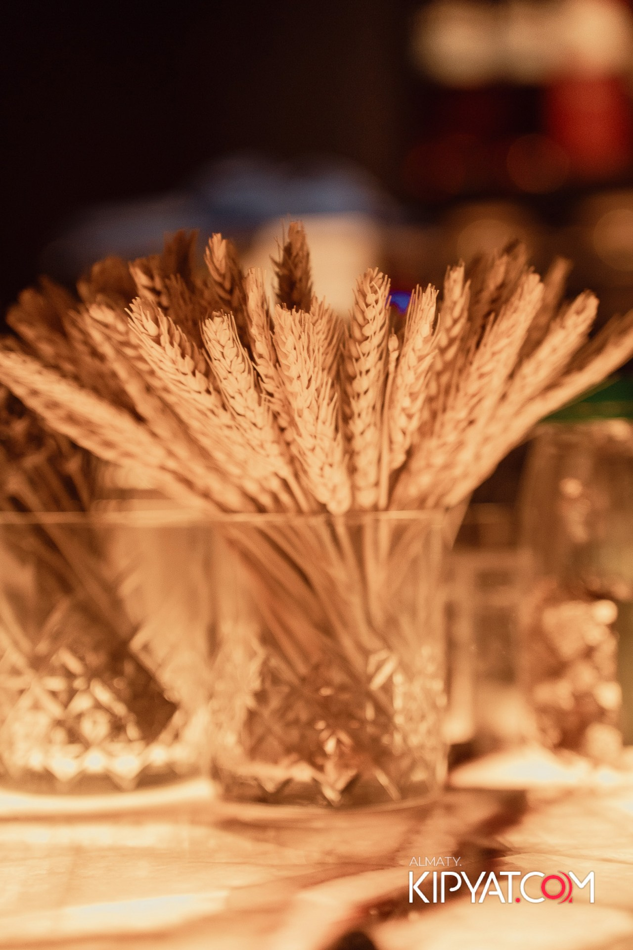 HOOKAH PLACE ALMATY. КИПЯТКОМ АЛМАТЫ!