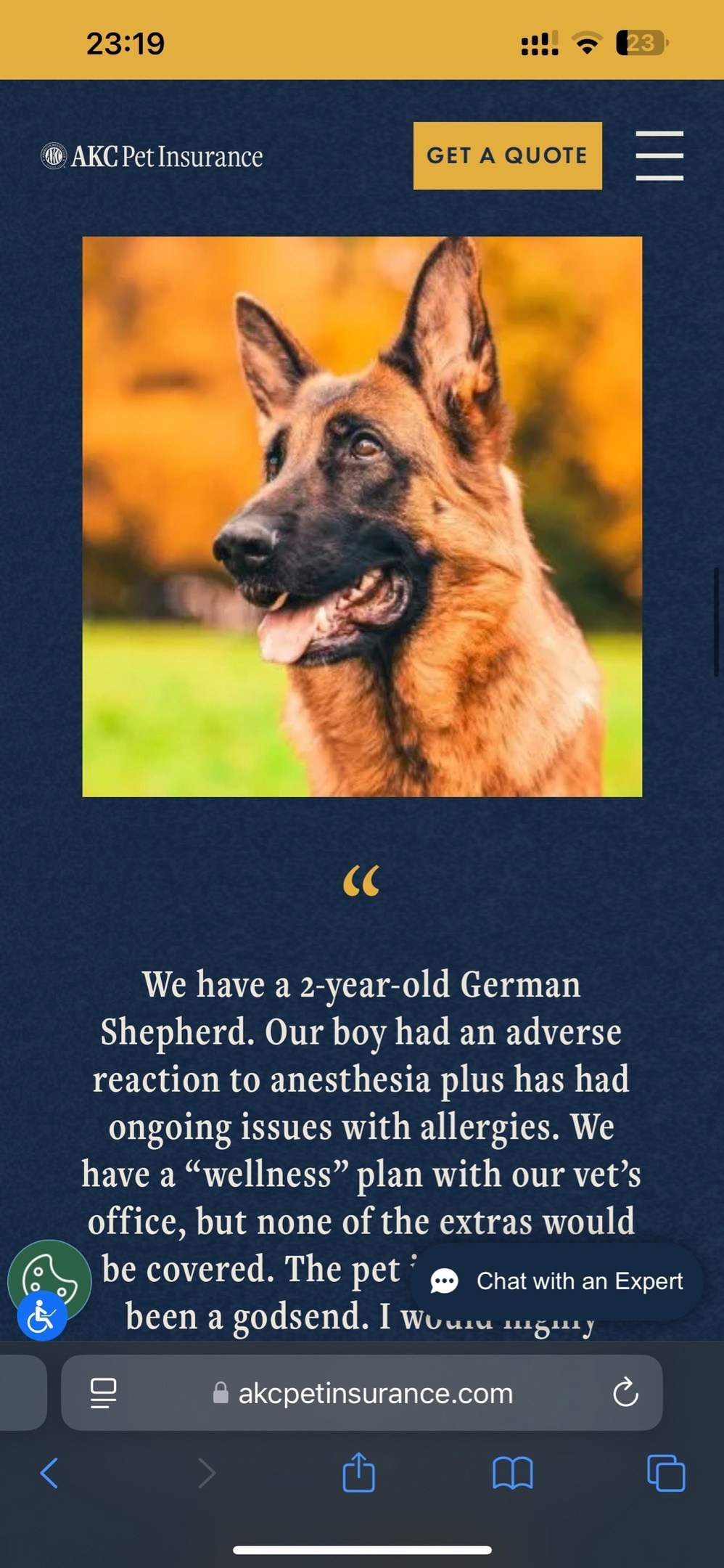 О фотографе TitAnya. Фотограф собак, фотограф-анималист Аня Титова (Titanya). Москва