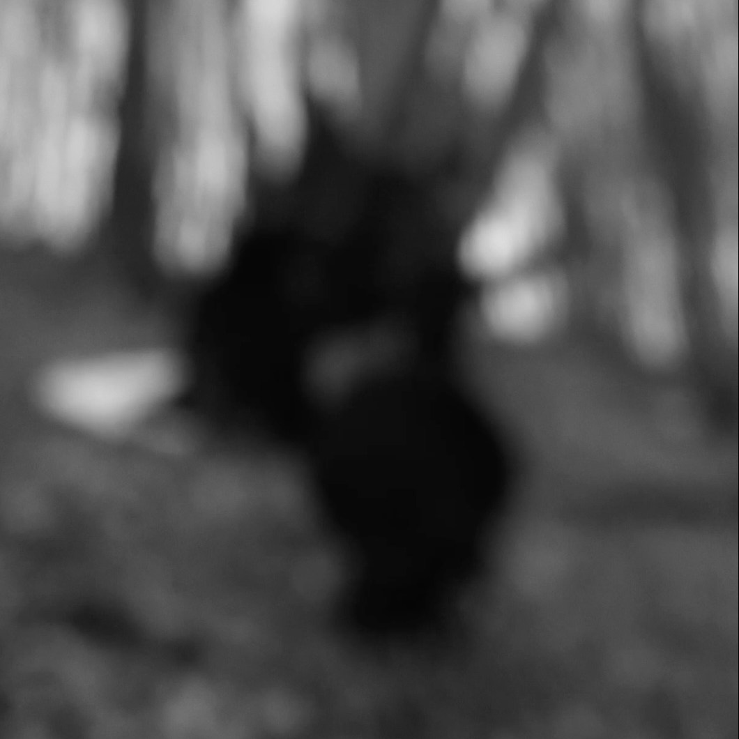 Ничего не было видно и приходилось прислушиваться. Художественная группа «Нежные Бабы»