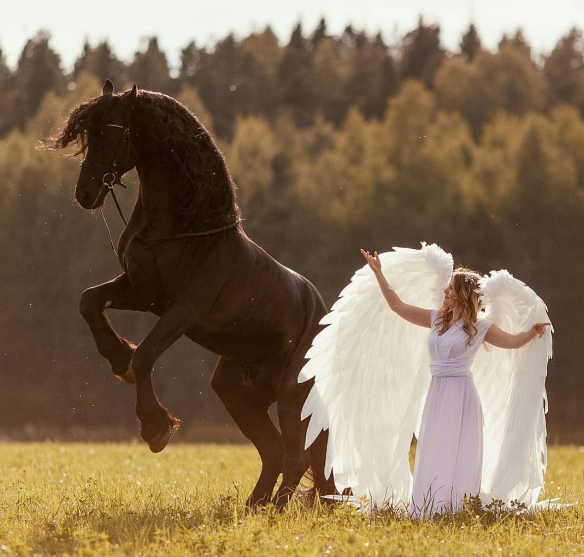 Портфолио и примеры работ с фотосессии с трюковыми лошадьми. Фотосессии с лошадьми в Москве от Конный фотографа Кутейниковой Светланы