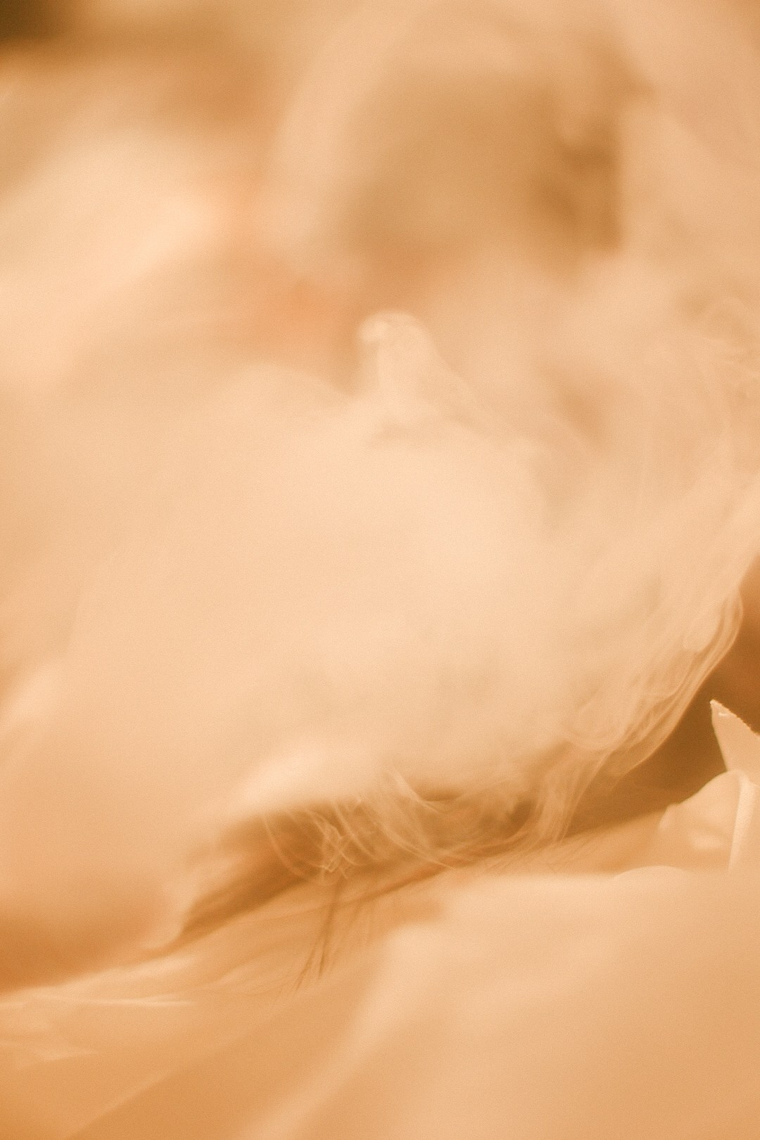 Ghost. Фотограф Нижний Новгород