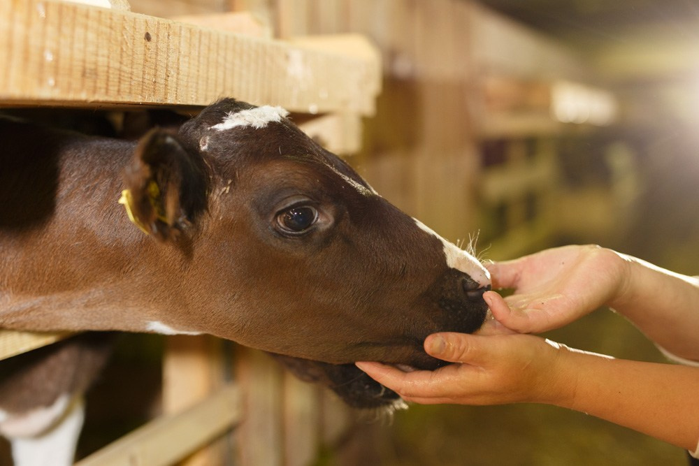 Актанышский район. Промышленный фотограф | Бизнес-фотосессии | Казань и РФ
