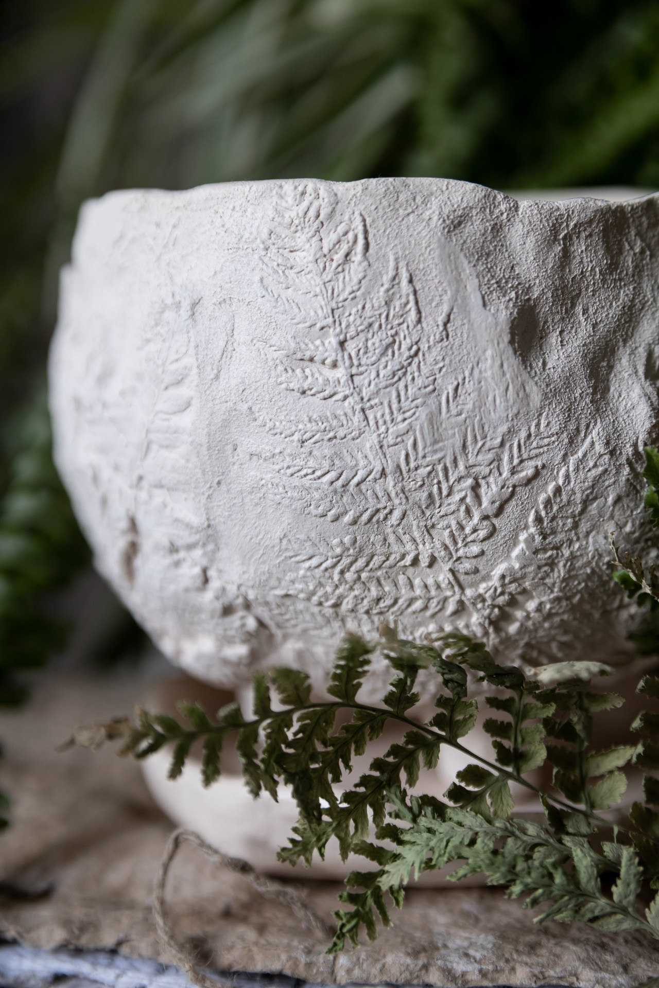 «Папоротники» НЕТ В НАЛИЧИИ. Катя Цвет